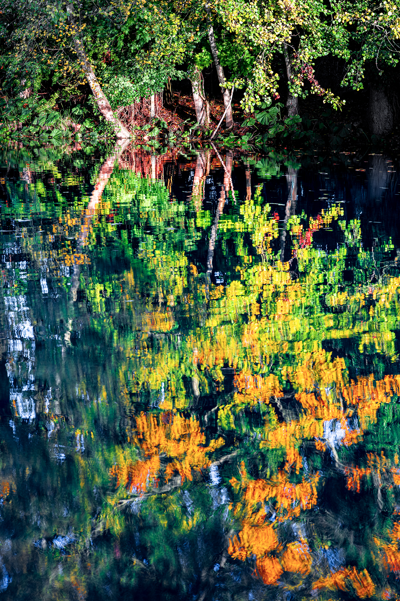 autumn photography along the Kennet and Avon Canal, Newbury.