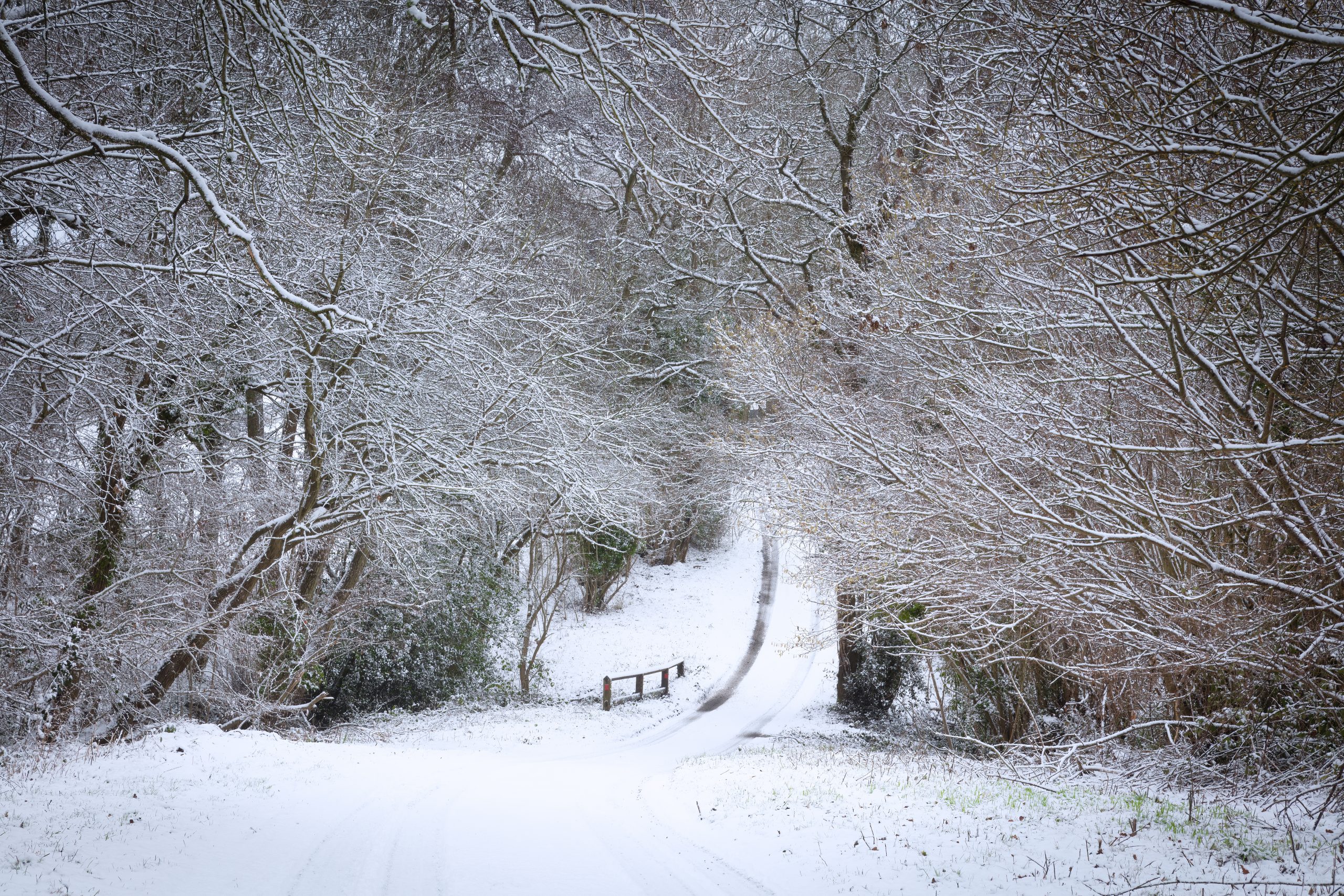 seasonal photography showing a snow covered lane in there English countryside.