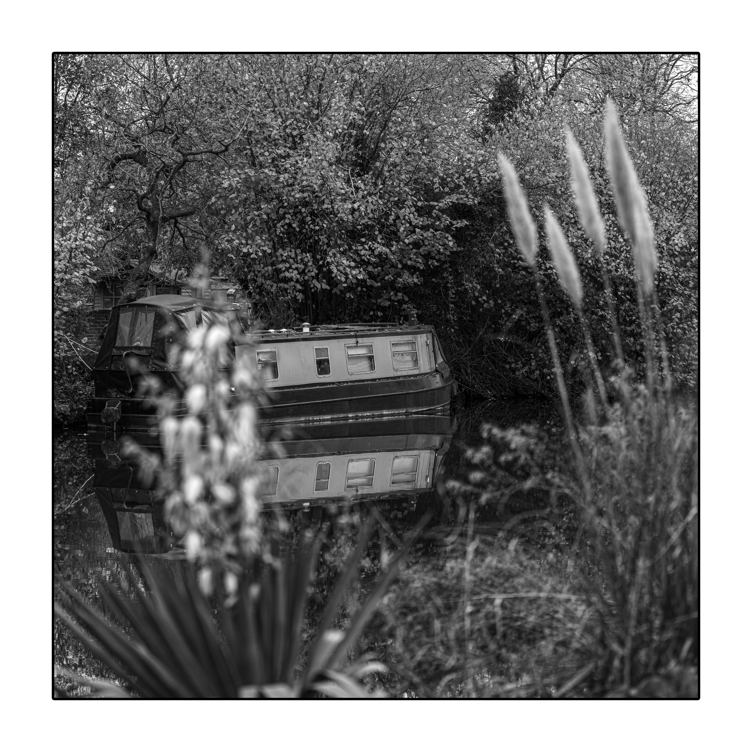7 Inspiring Square Crop Black and White Photography Tips