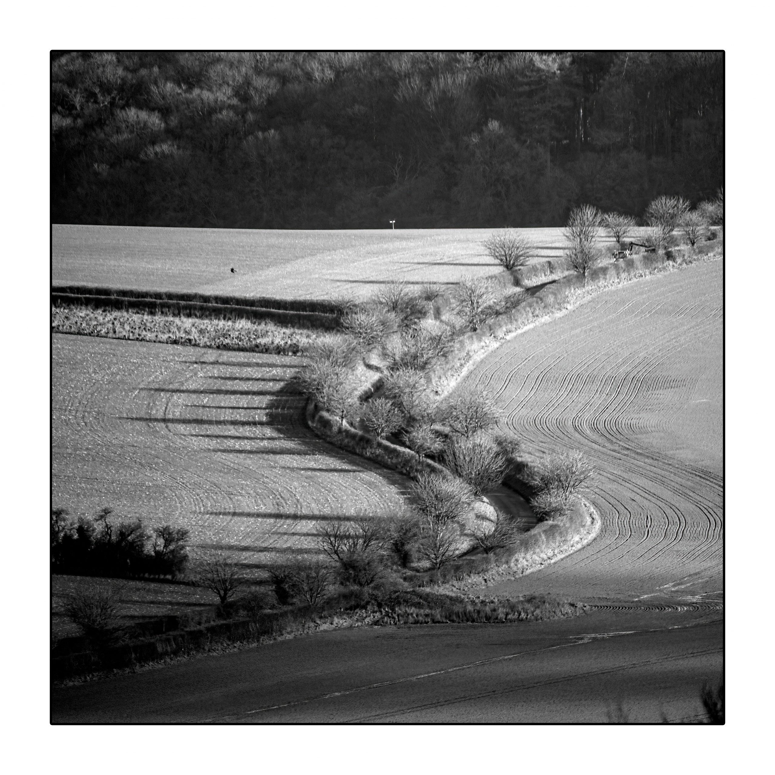 7 Inspiring Square Crop Black and White Photography Tips