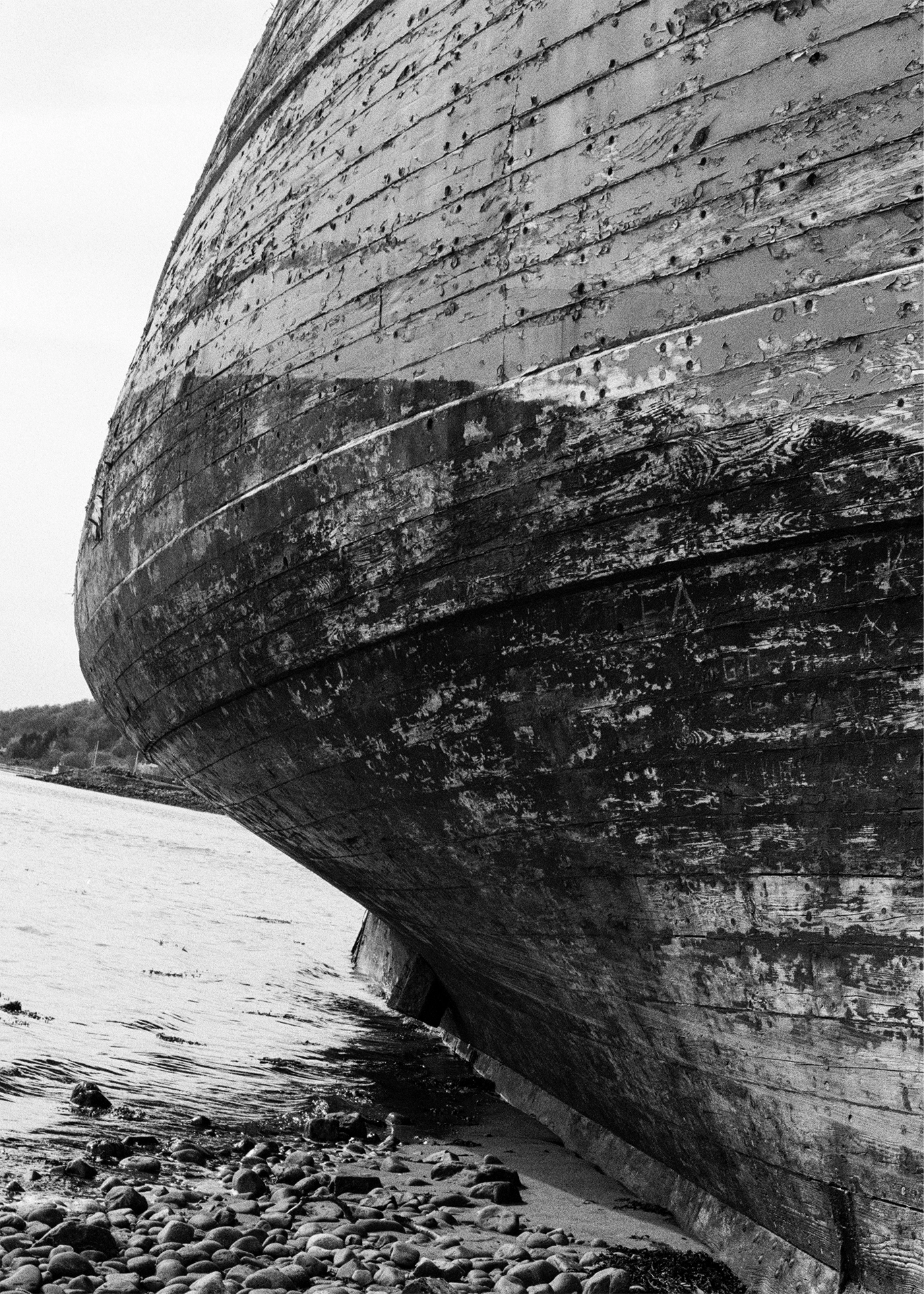 film grain,Balance for your Photography,Balance of Film Grain,Less Film Grain