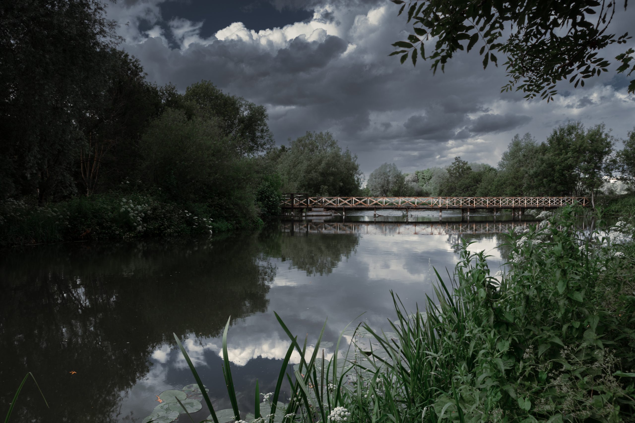 Enchanting Winter Splendor: Captivating Snapshots of Aldermaston Wharf 2022