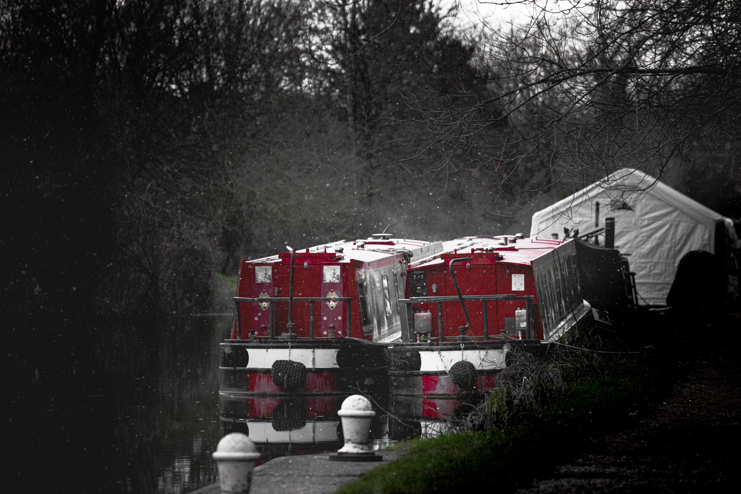 Enchanting Winter Splendor: Captivating Snapshots of Aldermaston Wharf 2022