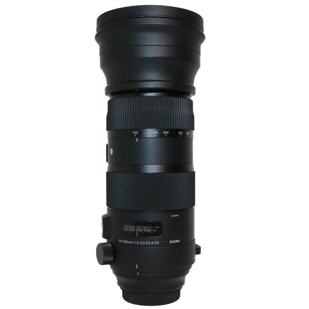 Sigma 150-600mm Sport Lens Review: A Super-Telephoto Powerhouse for Wildlife and Sports Photography 3 Sigma 150-600mm Sport lens