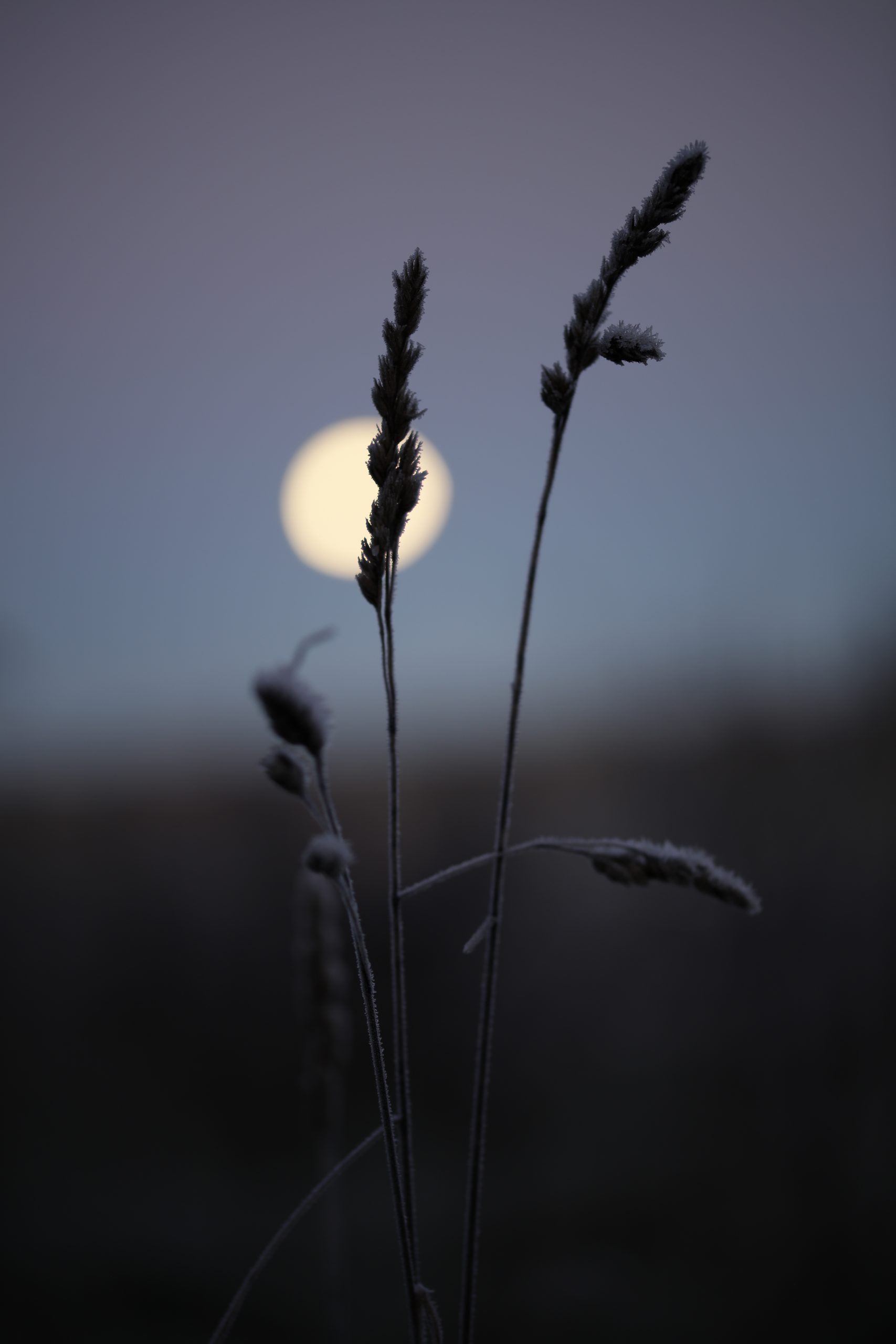 basic photography rules,rule of thirds,leading lines,basic photography,The Sunny 16 Rule