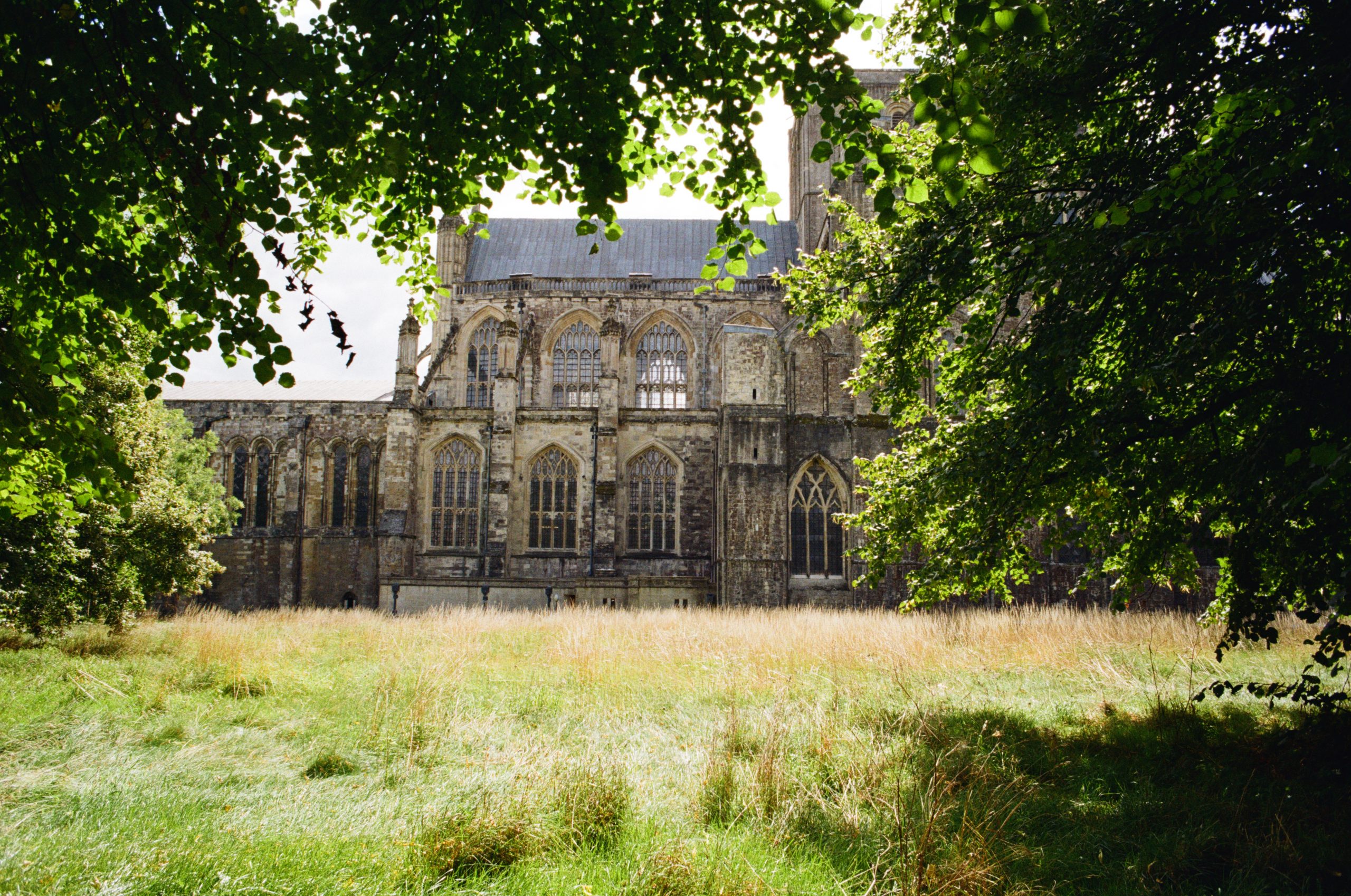 Mastering Street Photography with 35mm Colour Film: A Kodak Gold Film Guide 2 Winchester Cathedral through the green trees. Taken on Kodak Gold film