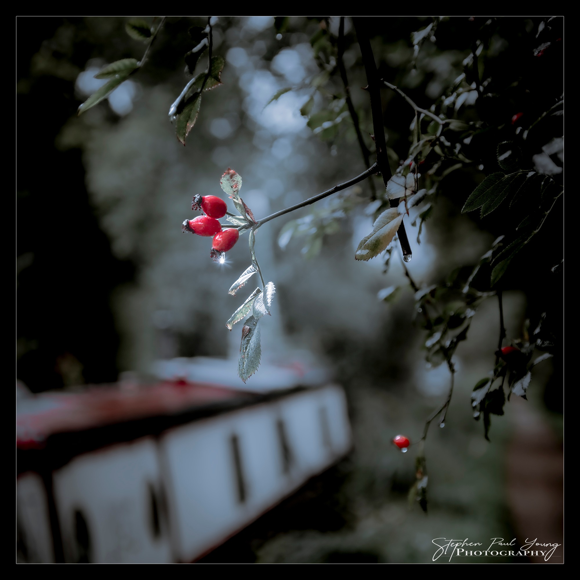 low light photography settings,The Challenge of Low Light,How Winter Affects Photography,Post-Processing for Winter Photography,Explore Winter Photography,Low Light and High ISO