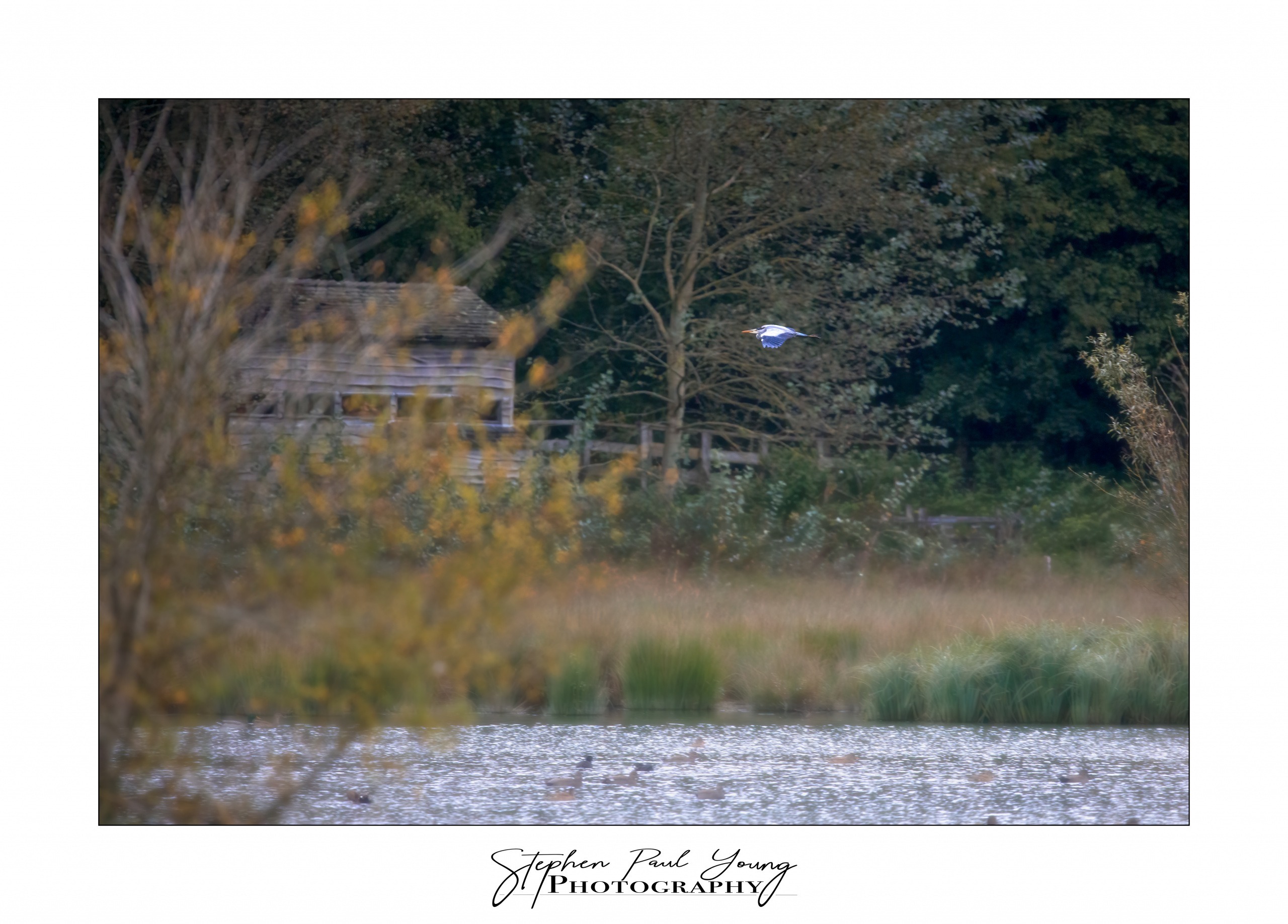 Autumn Wildlife Photography