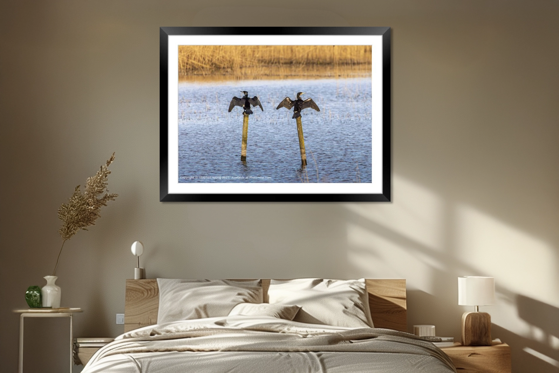 Wildlife Prints for sale