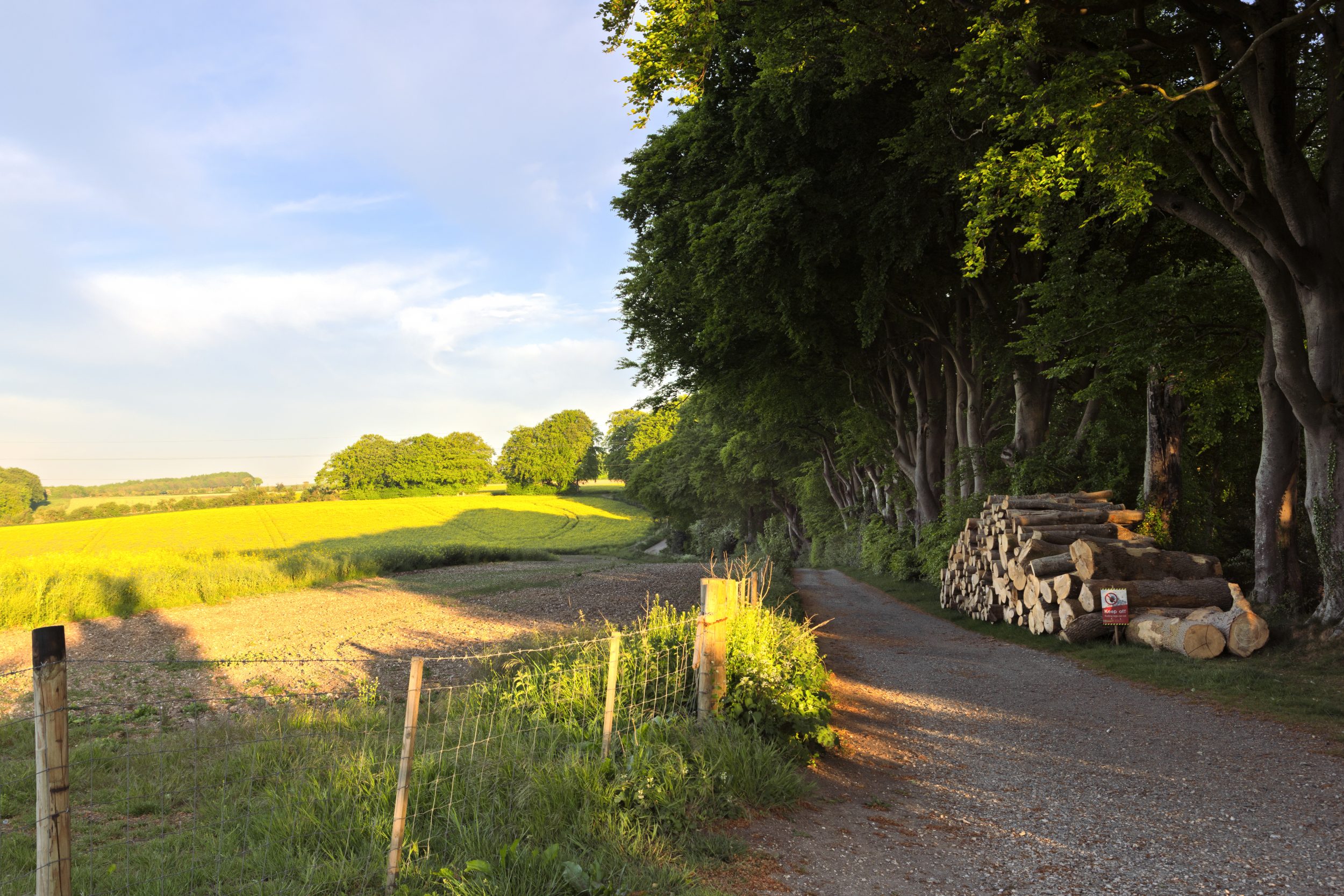 Landscape Downloads