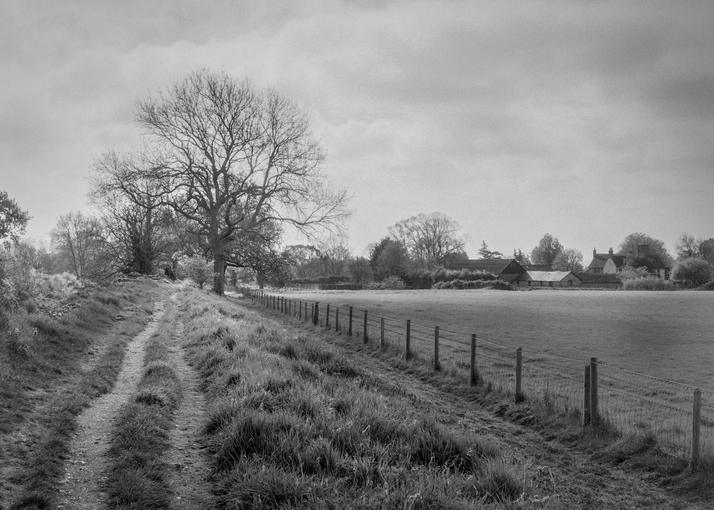 Black & White Film Downloads