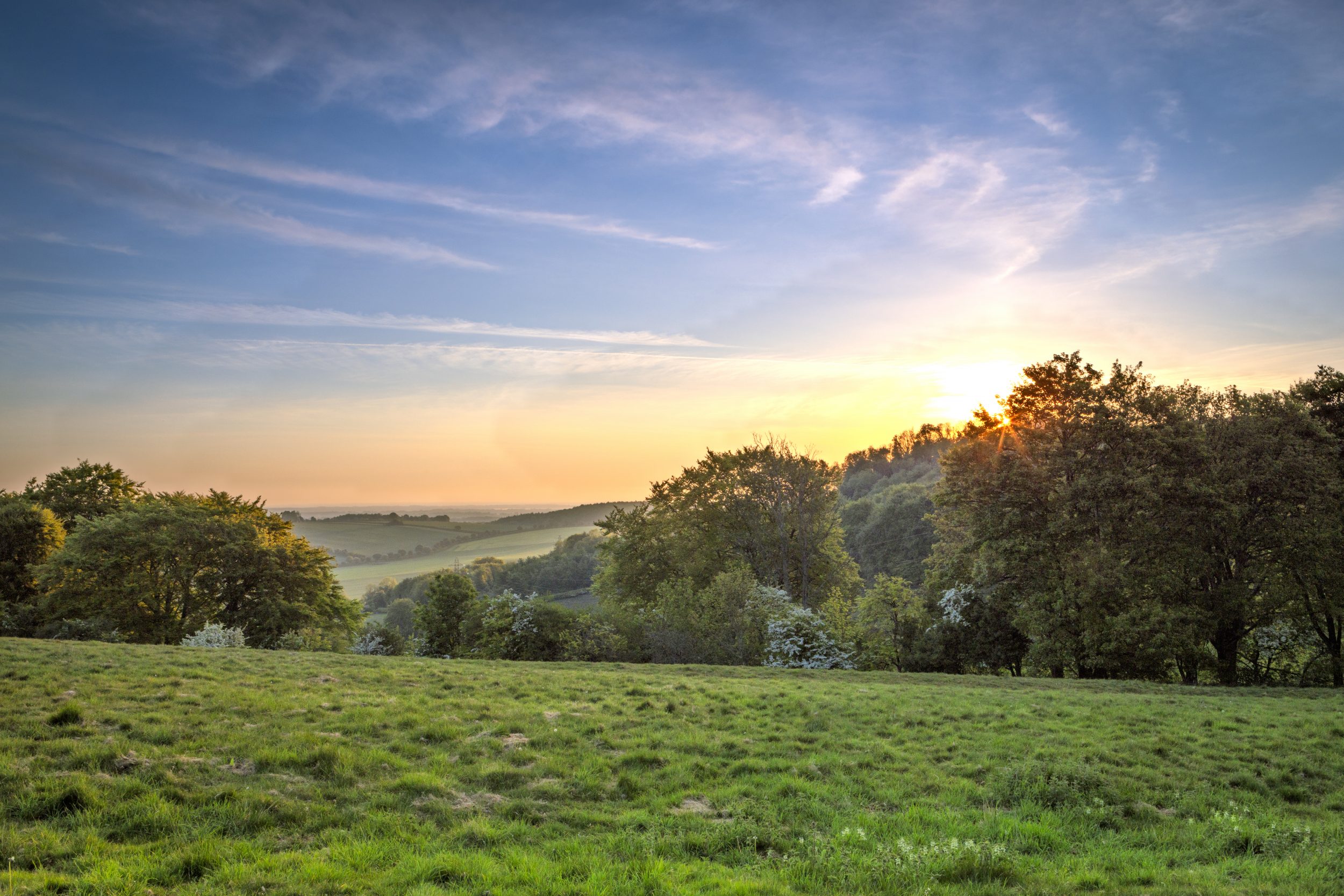 Landscape Downloads