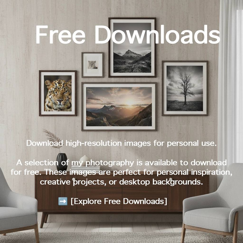 Free Downloads