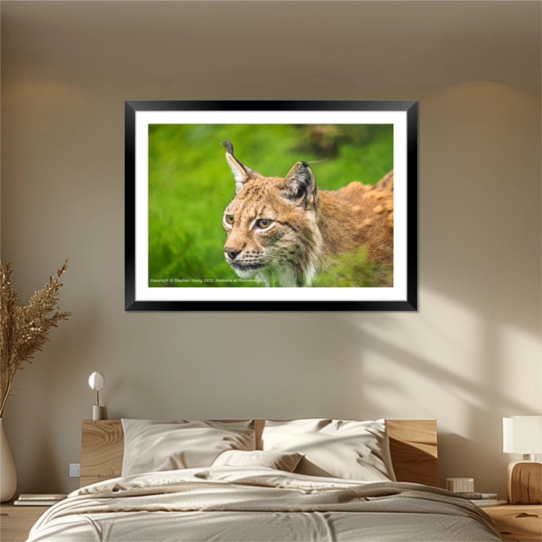 Fine Art Prints mockup image of Picture on wall.