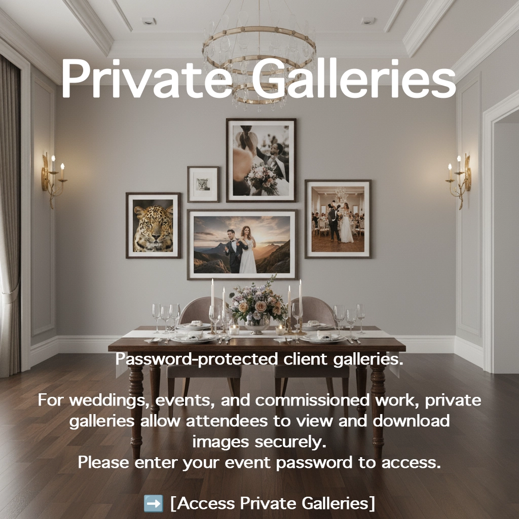 Private Galleries​