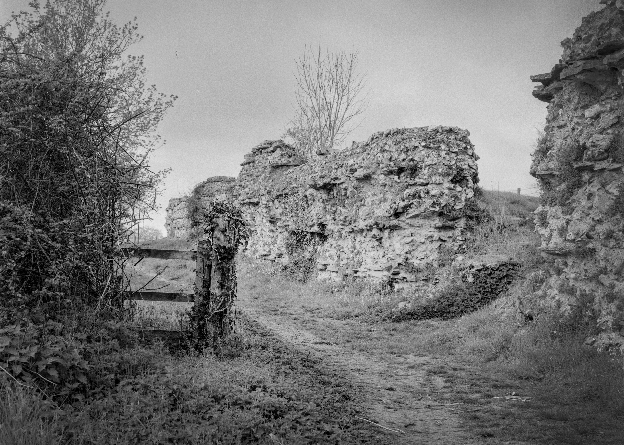 Black & White Film Downloads