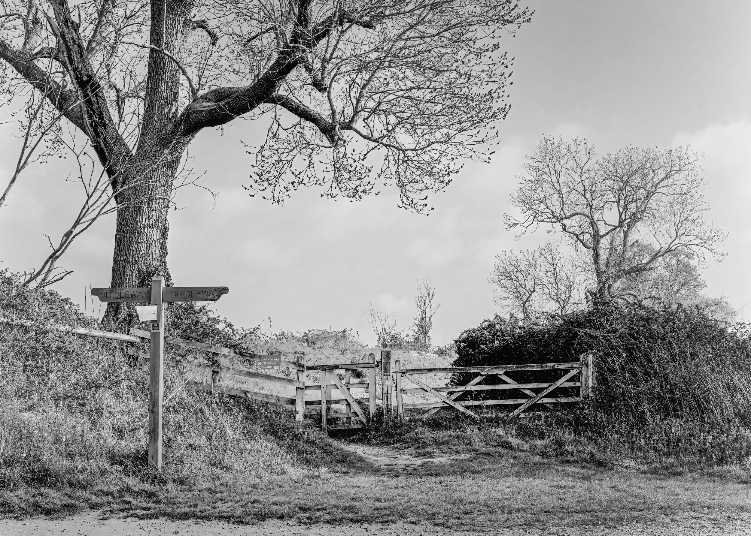 Black & White Film Downloads