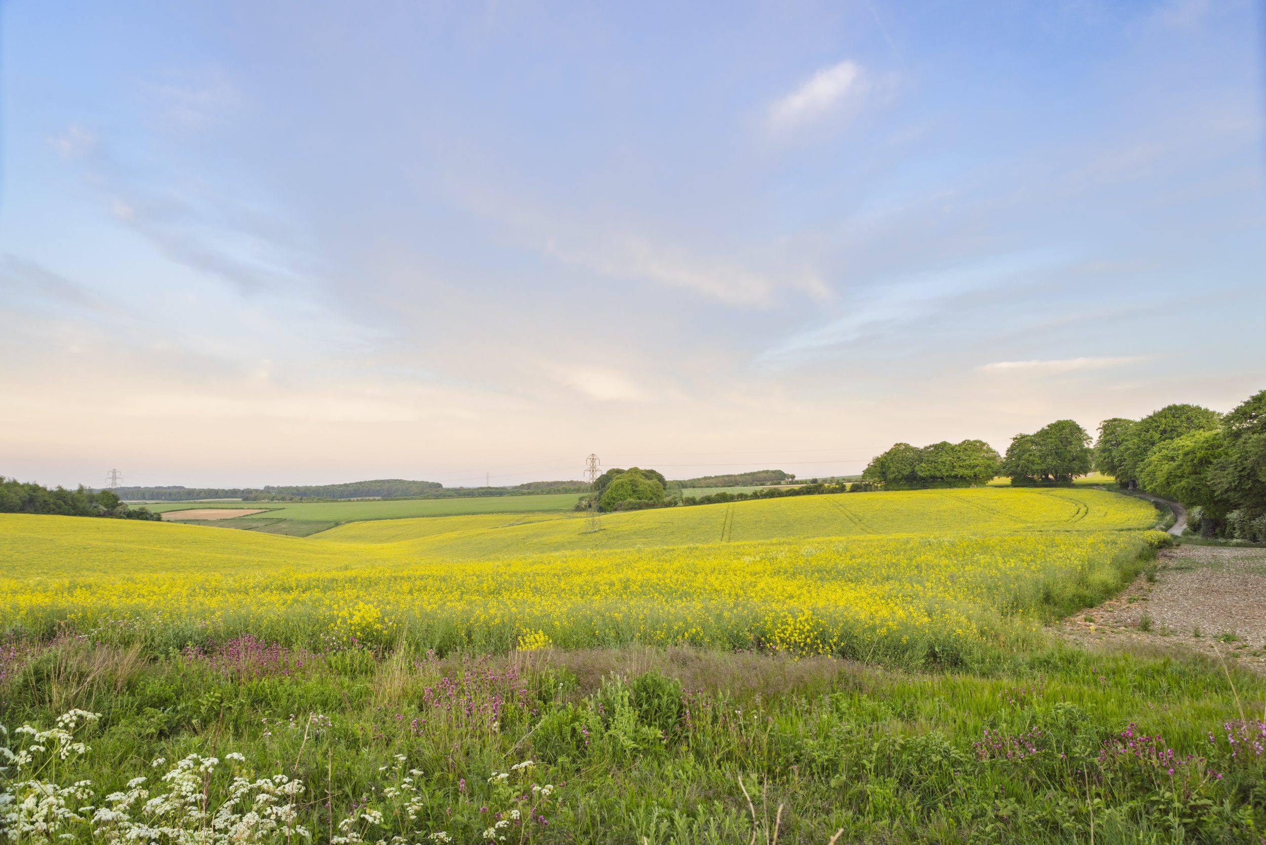 Landscape Downloads
