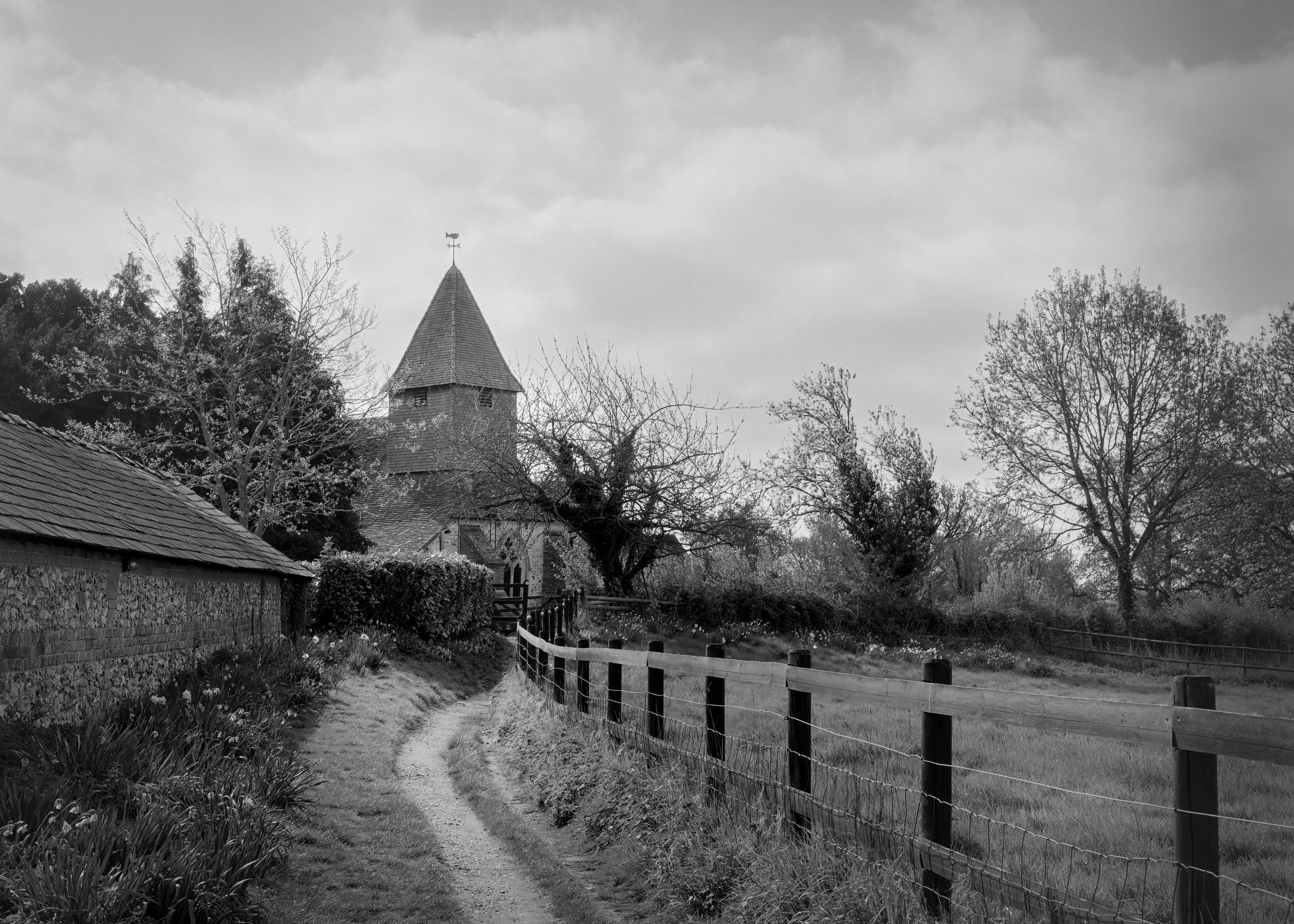 Black & White Film Downloads