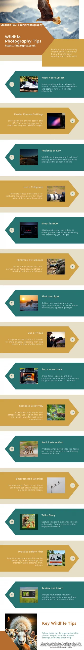 The Ultimate Guide to Wildlife Photography: Techniques, Tips, and Best Locations