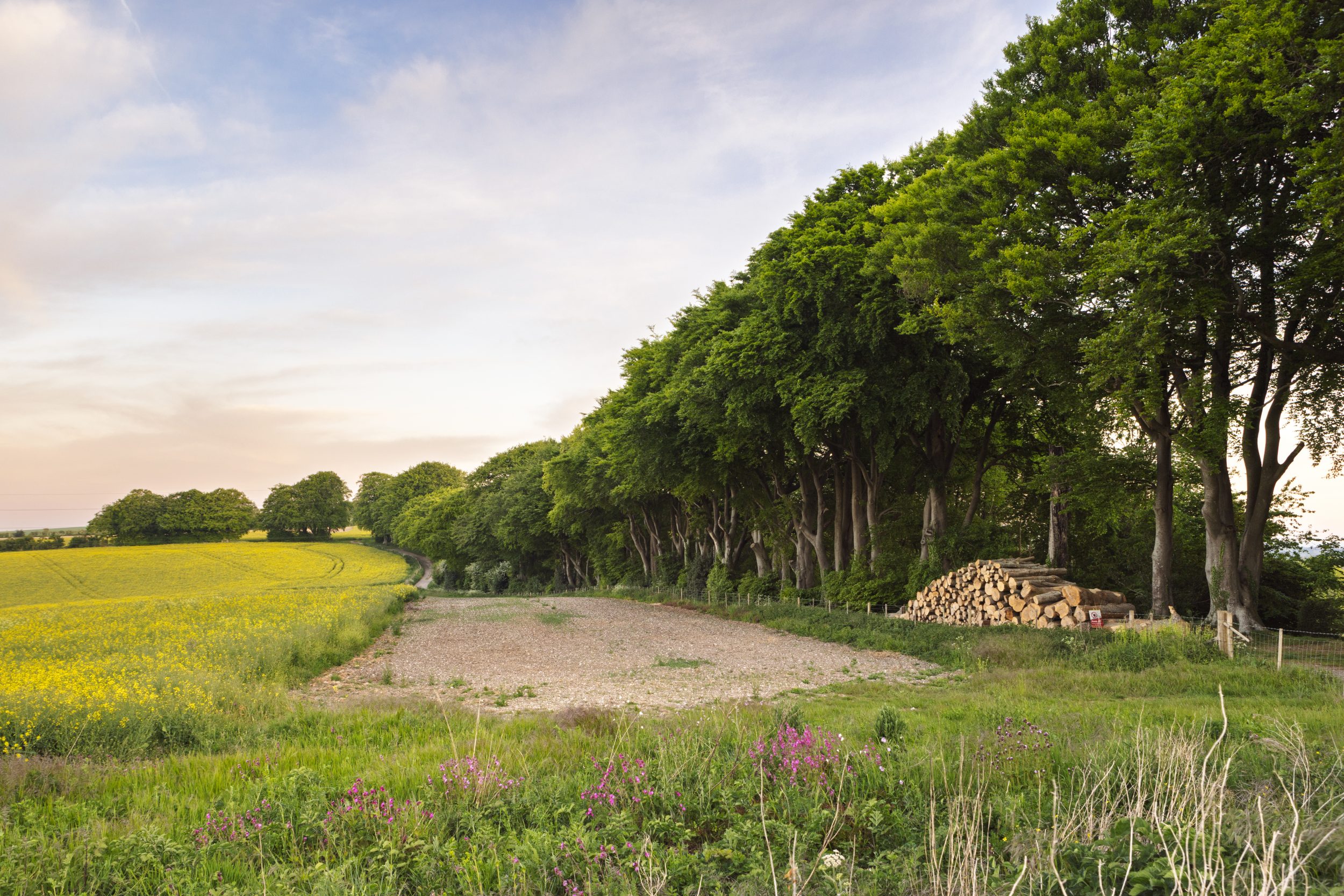 Landscape Downloads