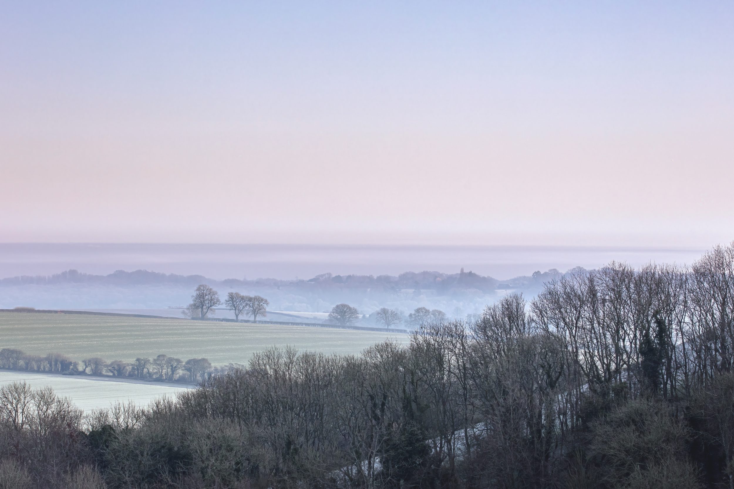 Landscape Downloads