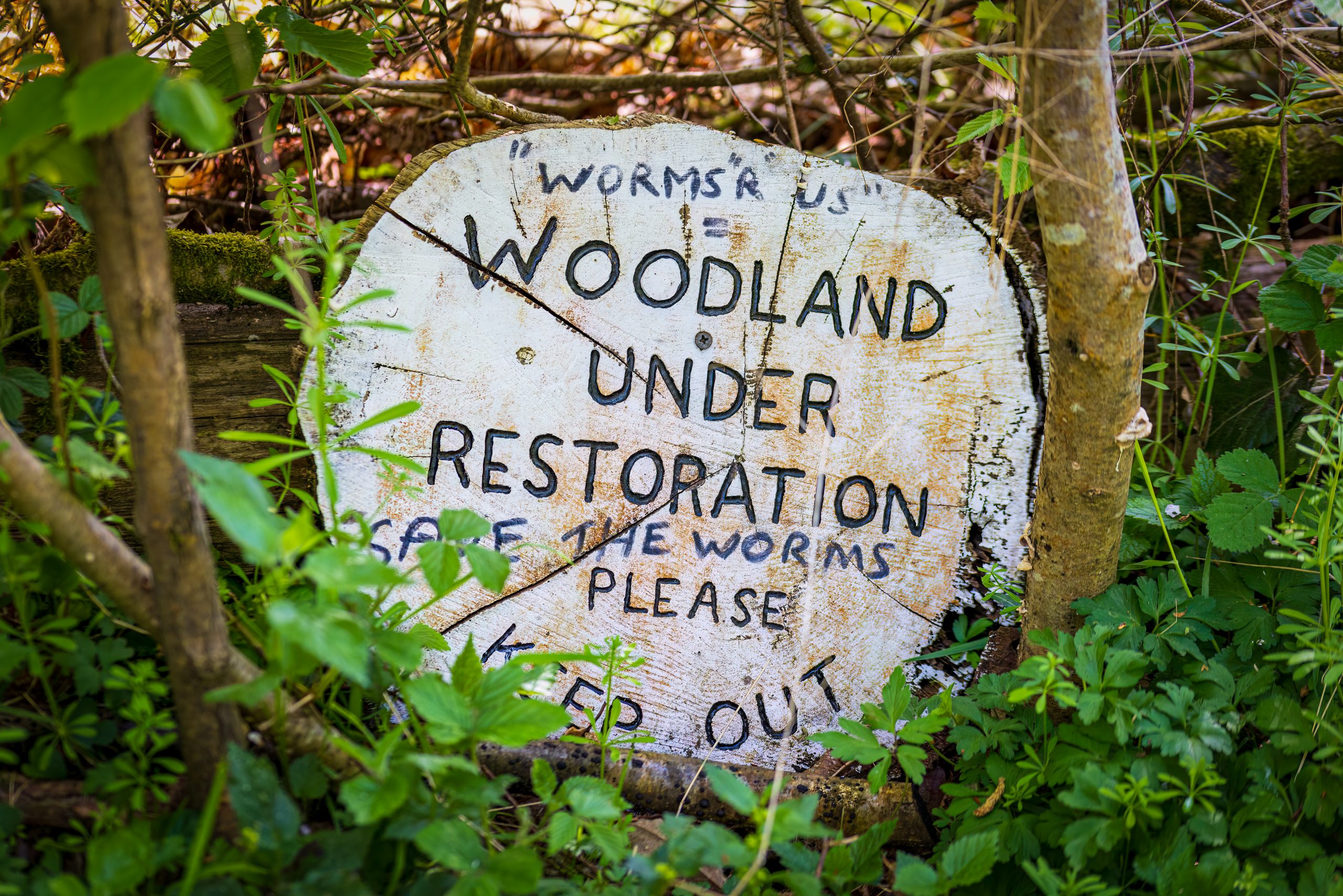 woodland sign