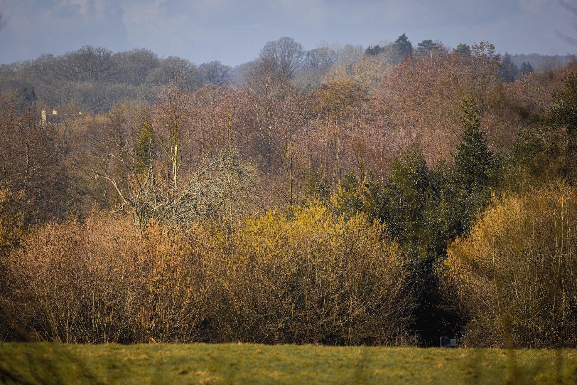 balance warmth in post