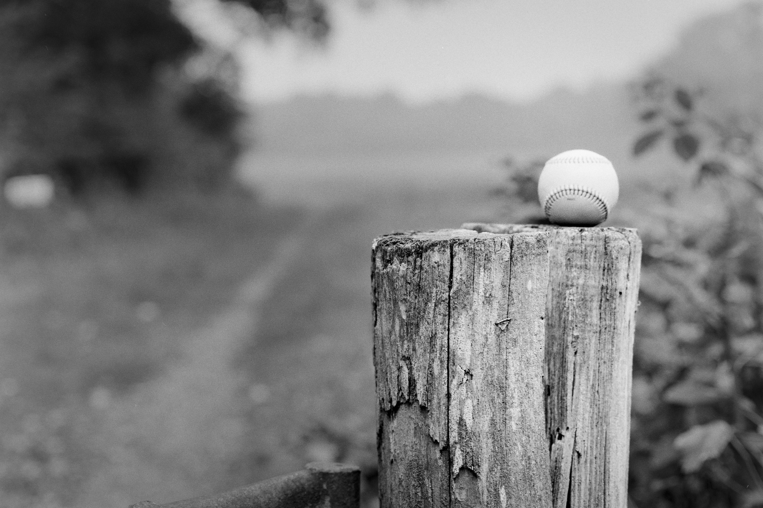 Modern baseball resting on a rotting fence post at the edge of a field, evoking nostalgia and isolation.