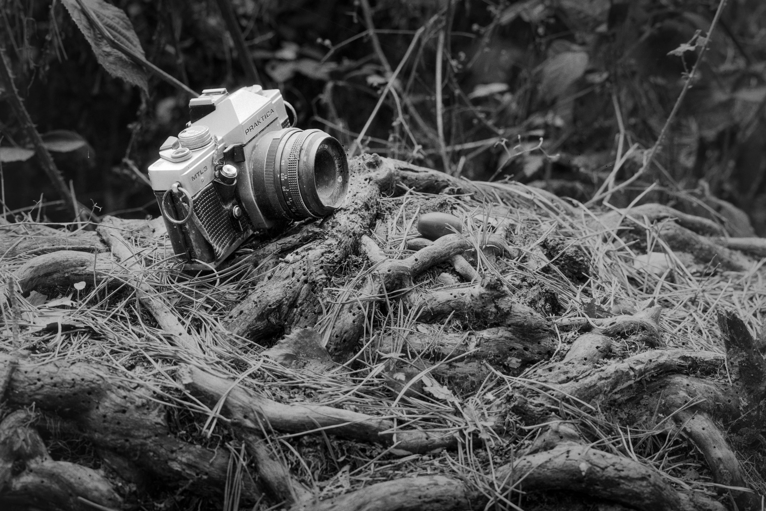 Weathered vintage Practice MTL3 camera on a fallen pine tree covered in ivy and pine needles, symbolizing decay and abandonment.