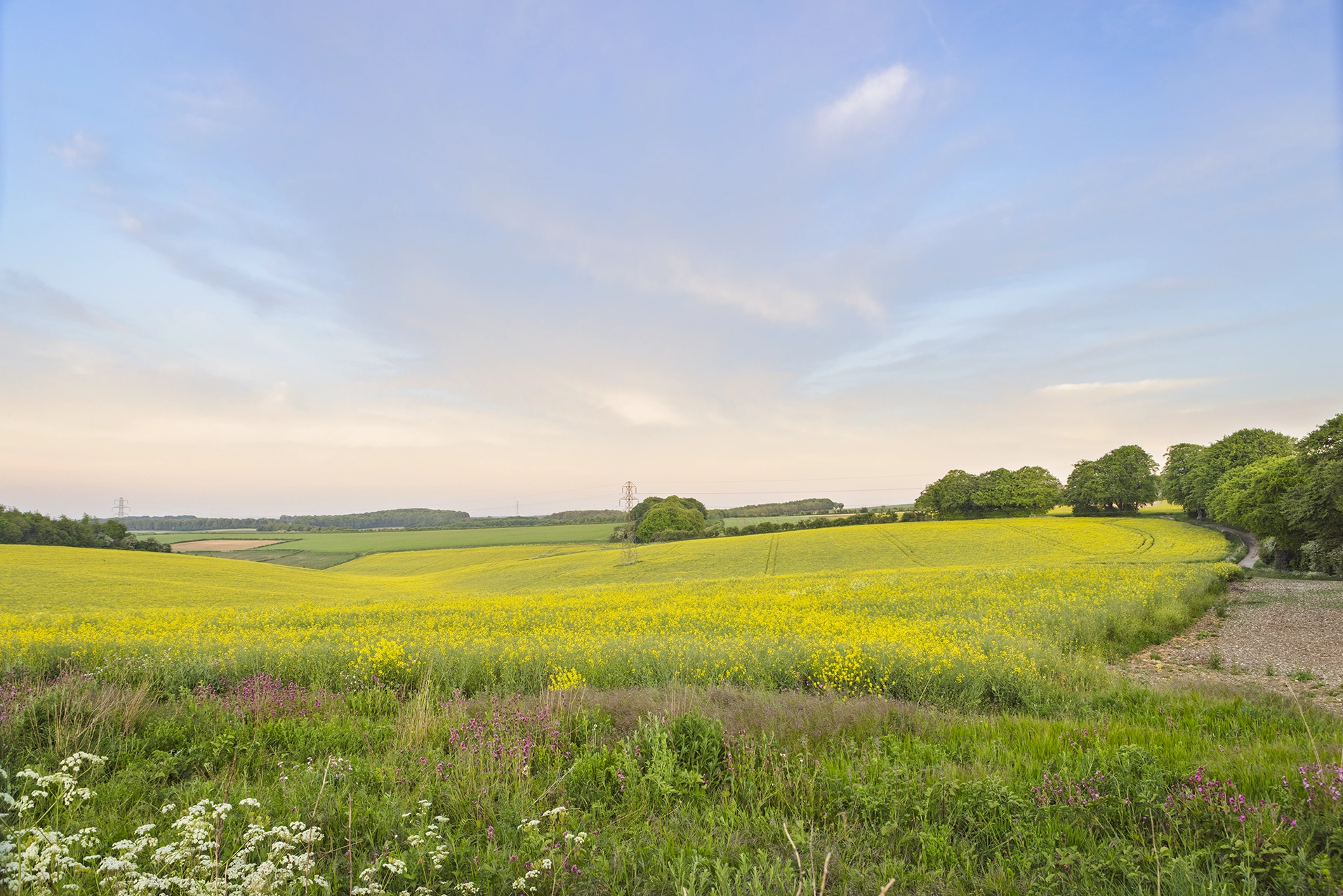 kingsclere fields