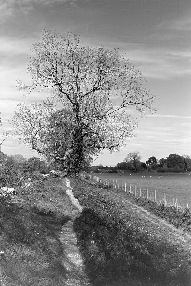 silchester roman wall walk for mental health