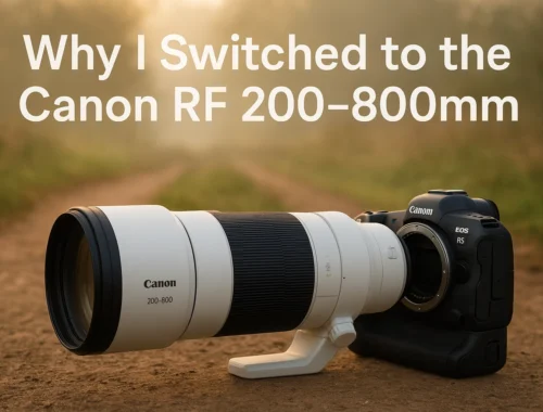 canon rf 200–800mm