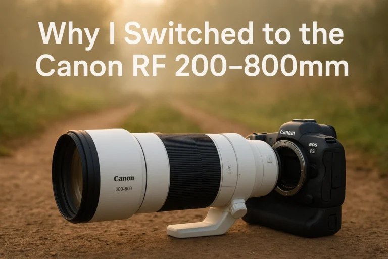 Read more about the article Why I Traded My Faithful Sigma 150–600mm Sport for the Canon RF 200–800mm