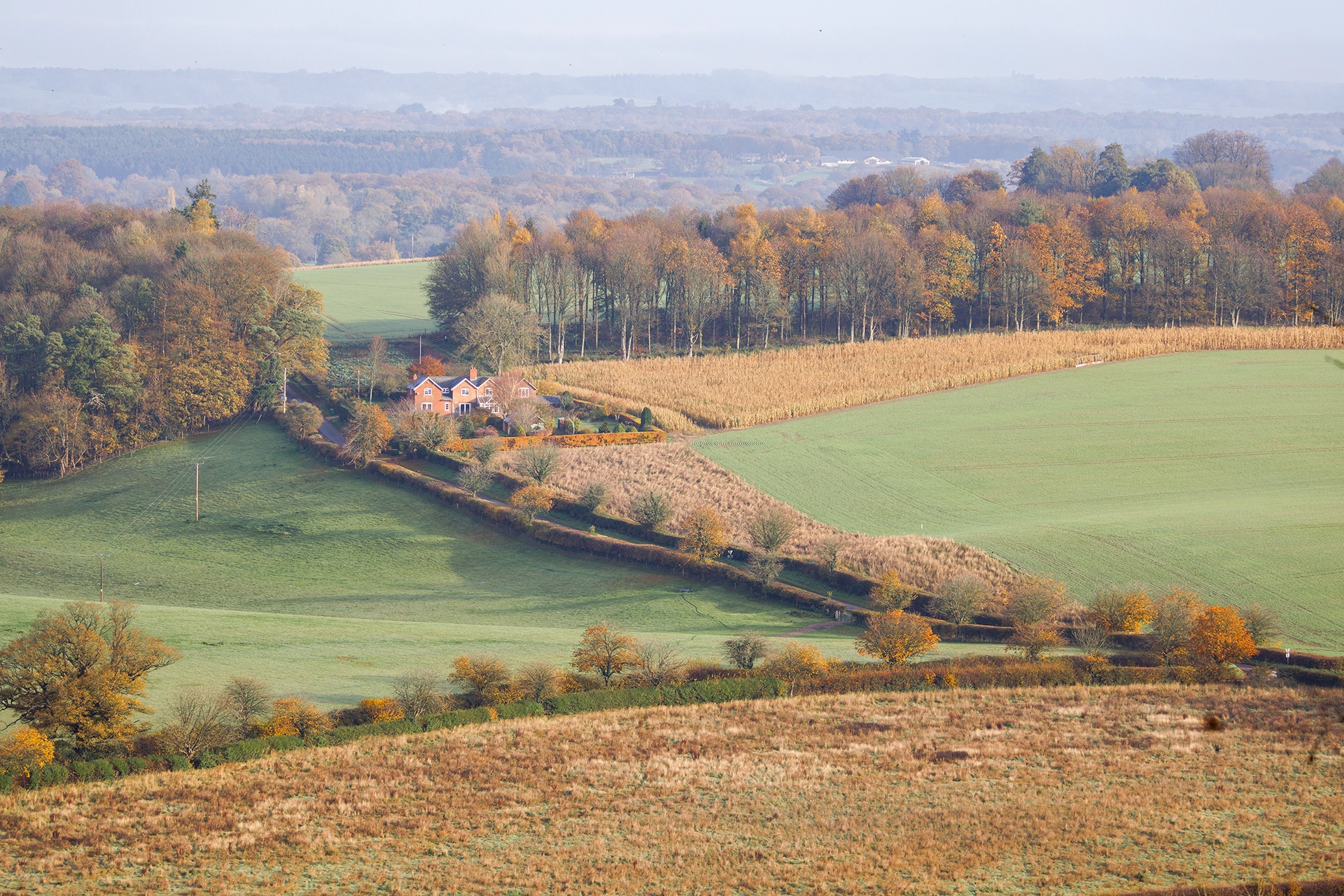 landscape taken with the Canon RF 200–800mm