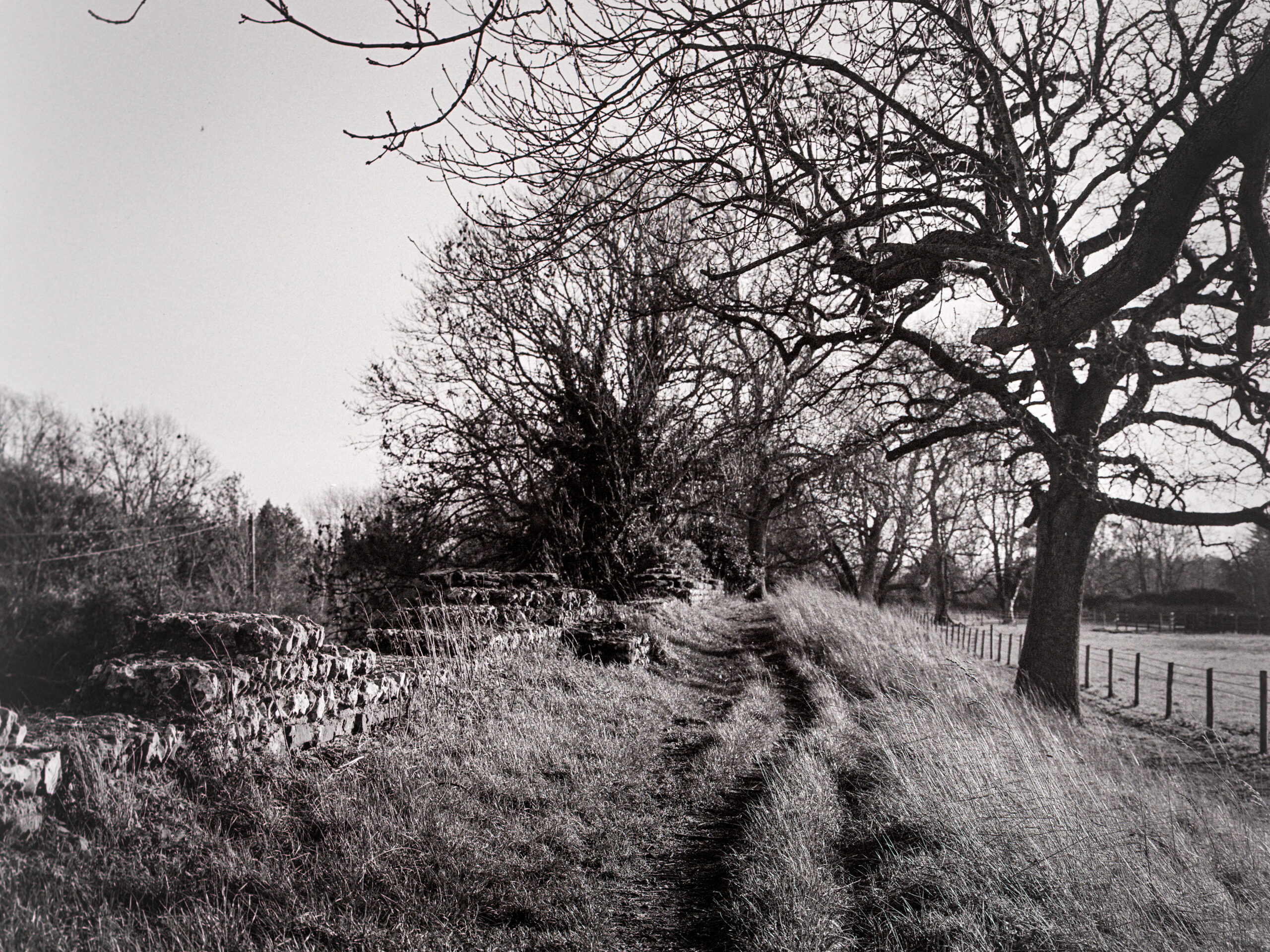 20251221 674a1839 edit