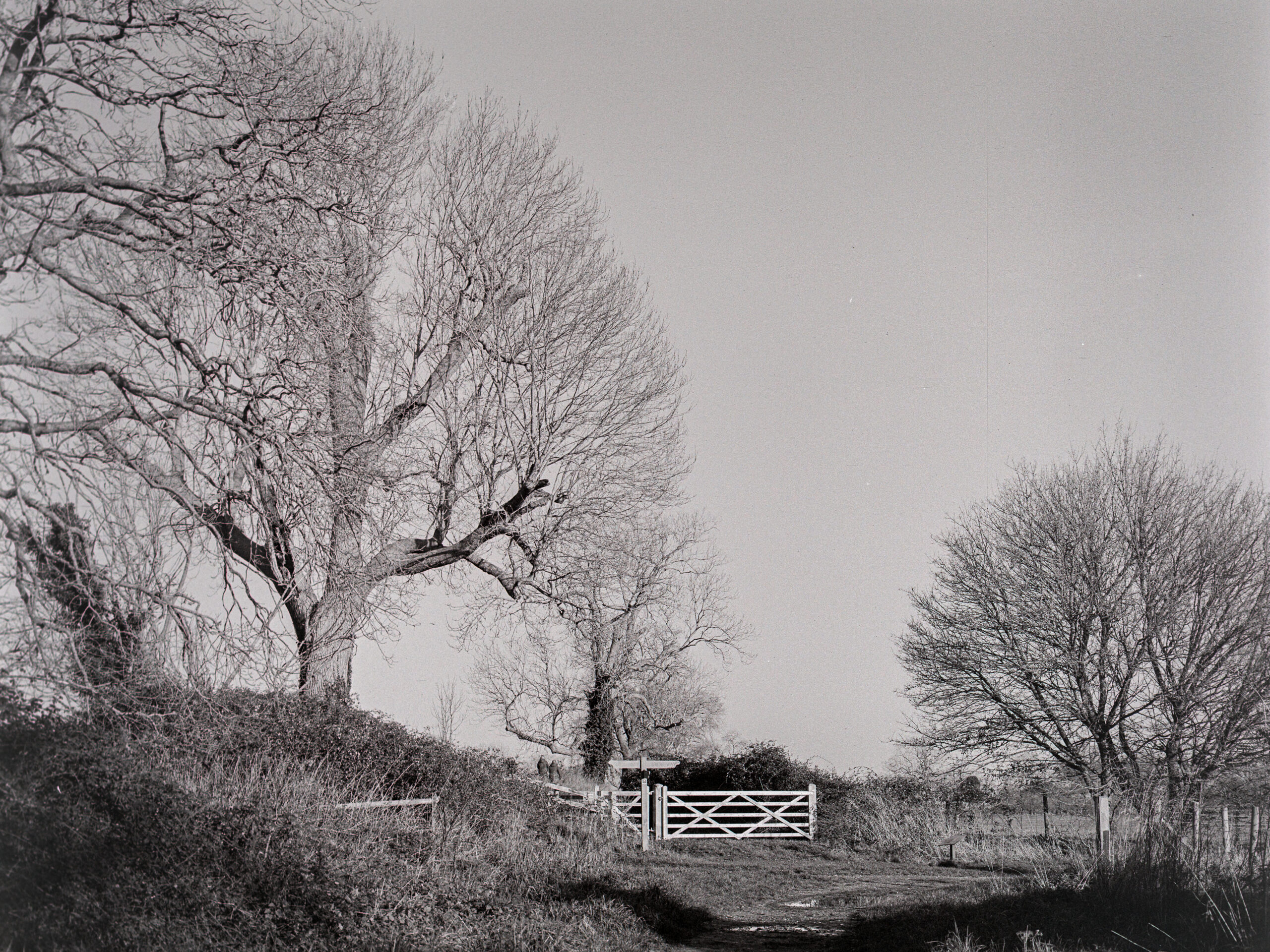 20251221 674a1842 edit