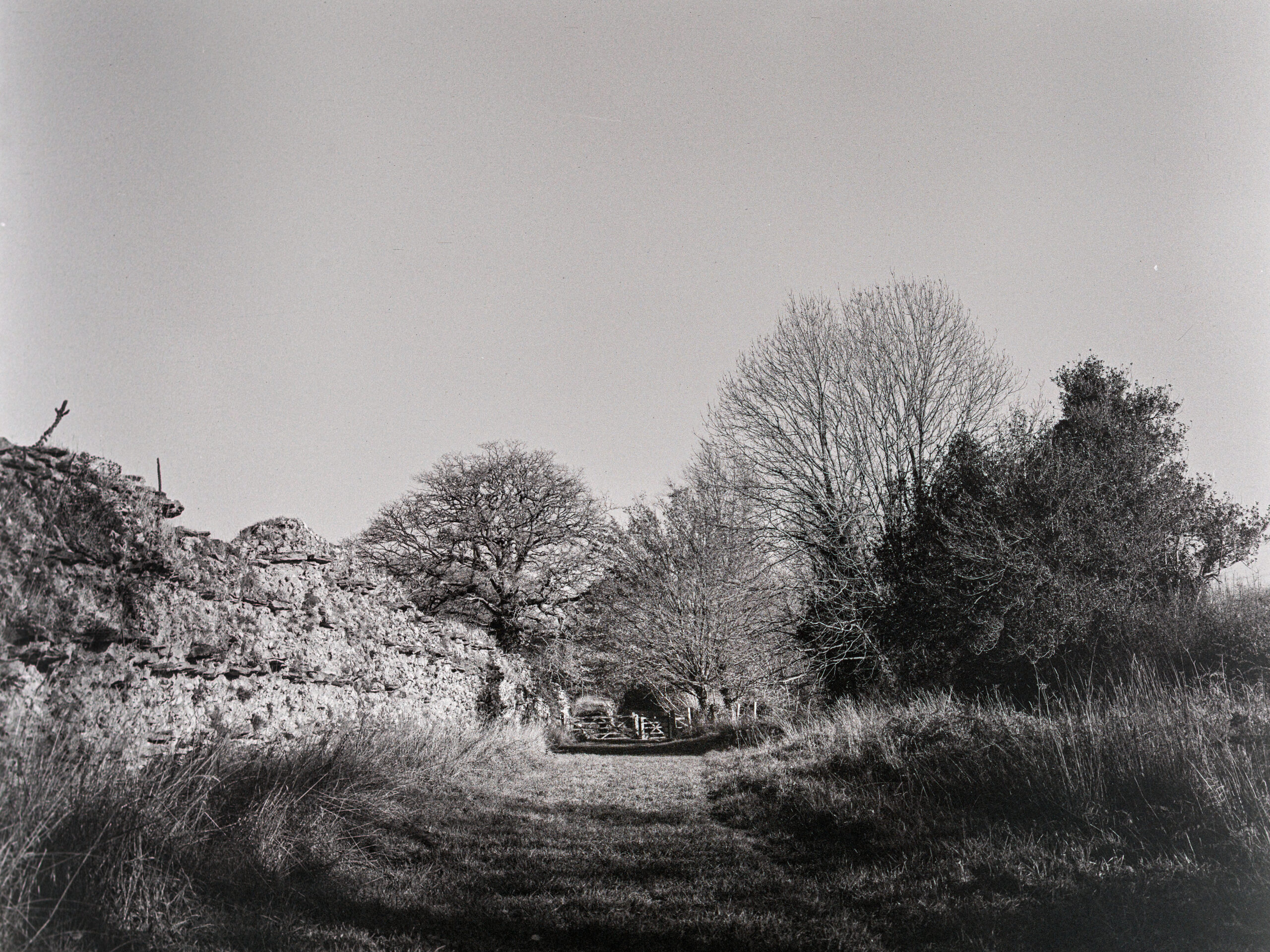 20251221 674a1849 edit