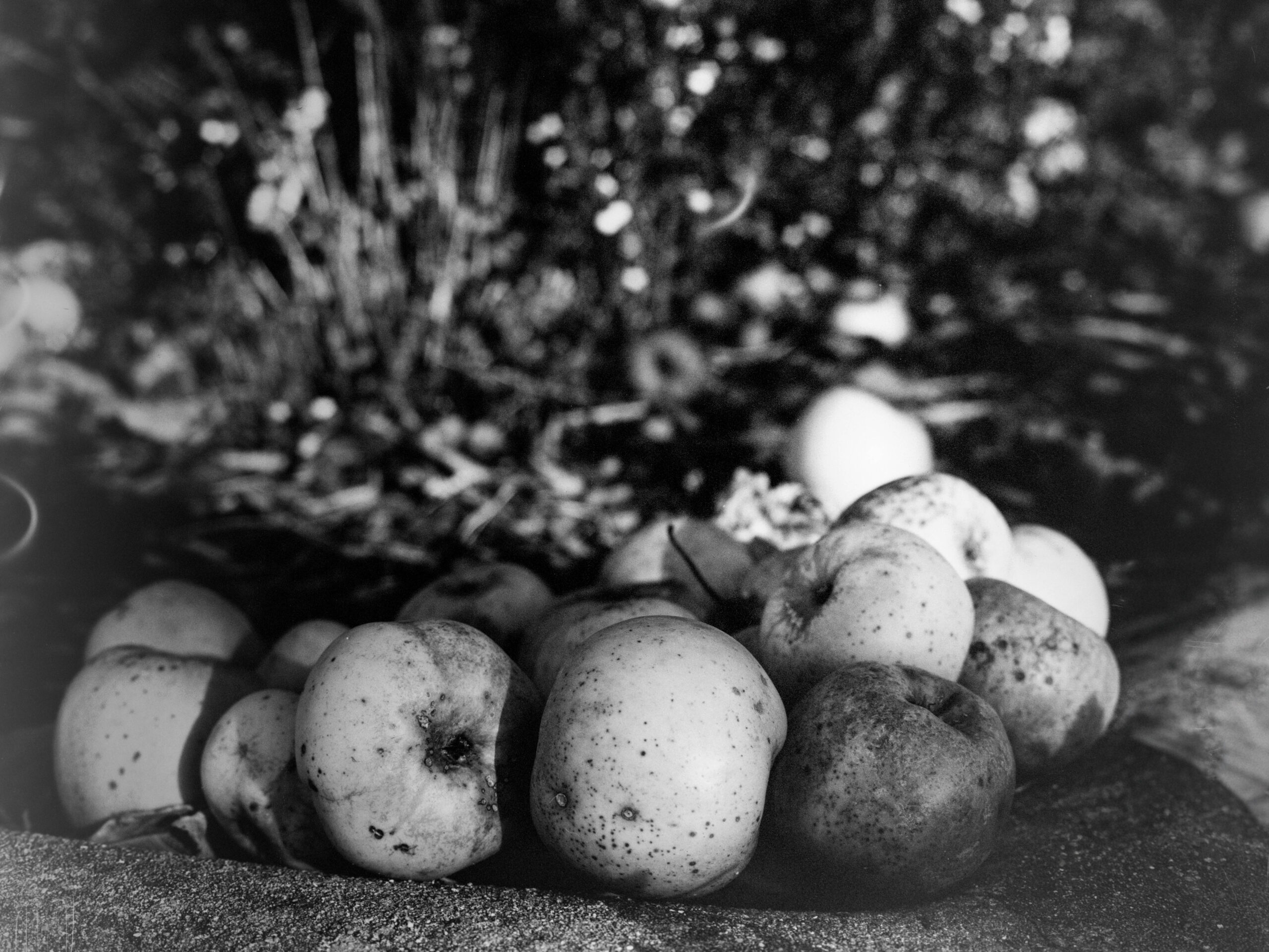 luckyshd400 11 luckyshd400 11