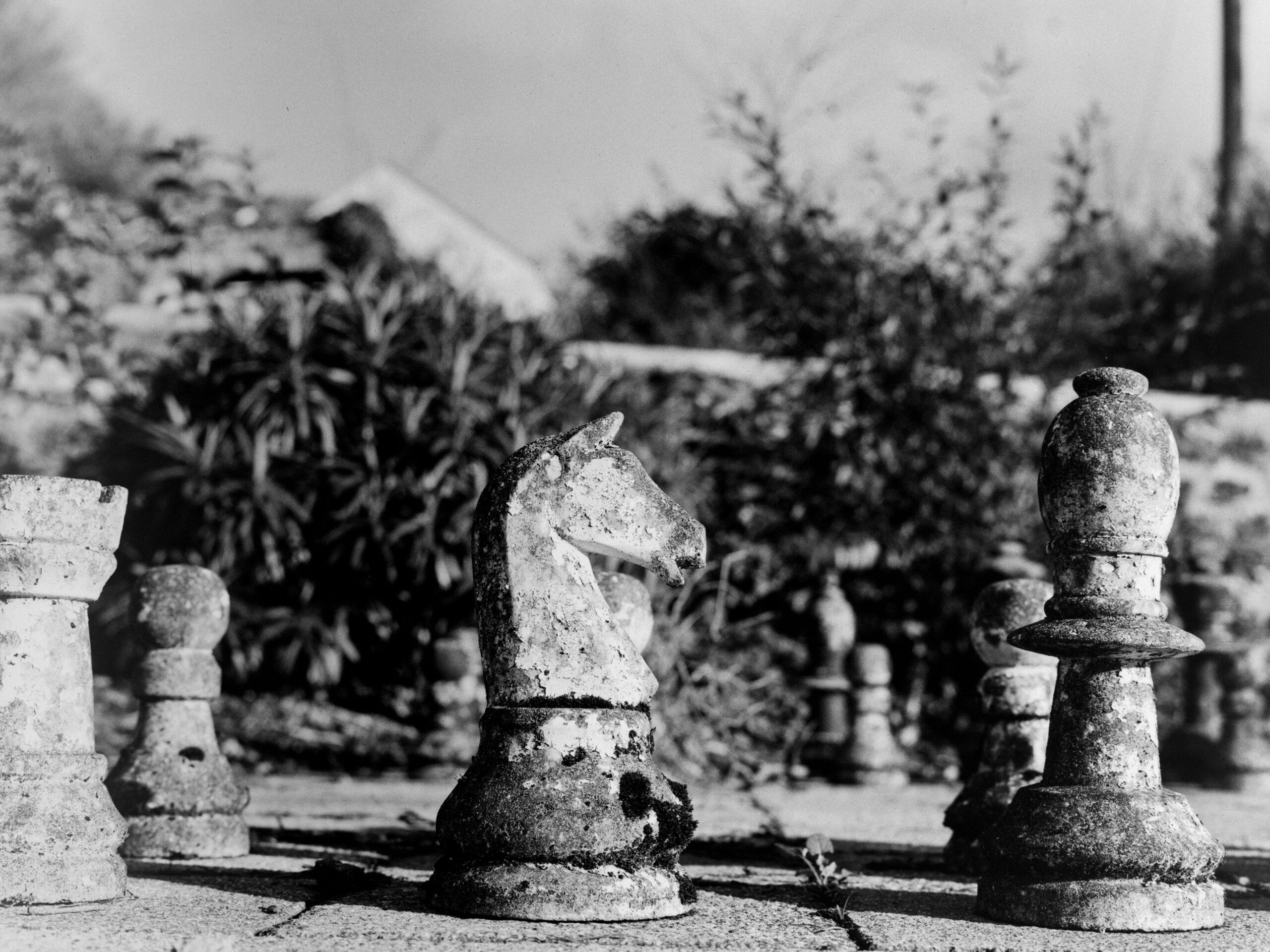 luckyshd400 12 luckyshd400 12