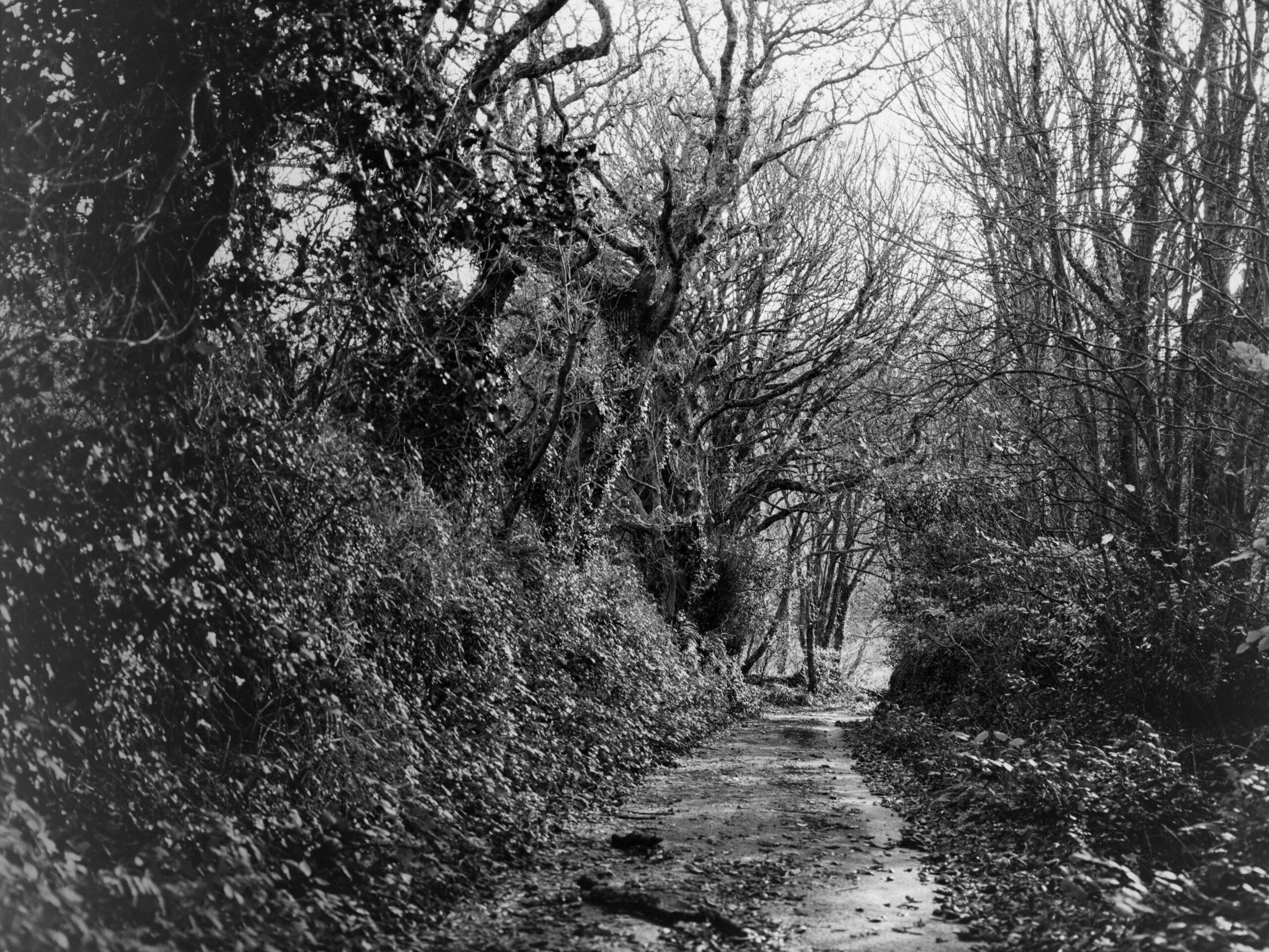 luckyshd400 18 luckyshd400 18