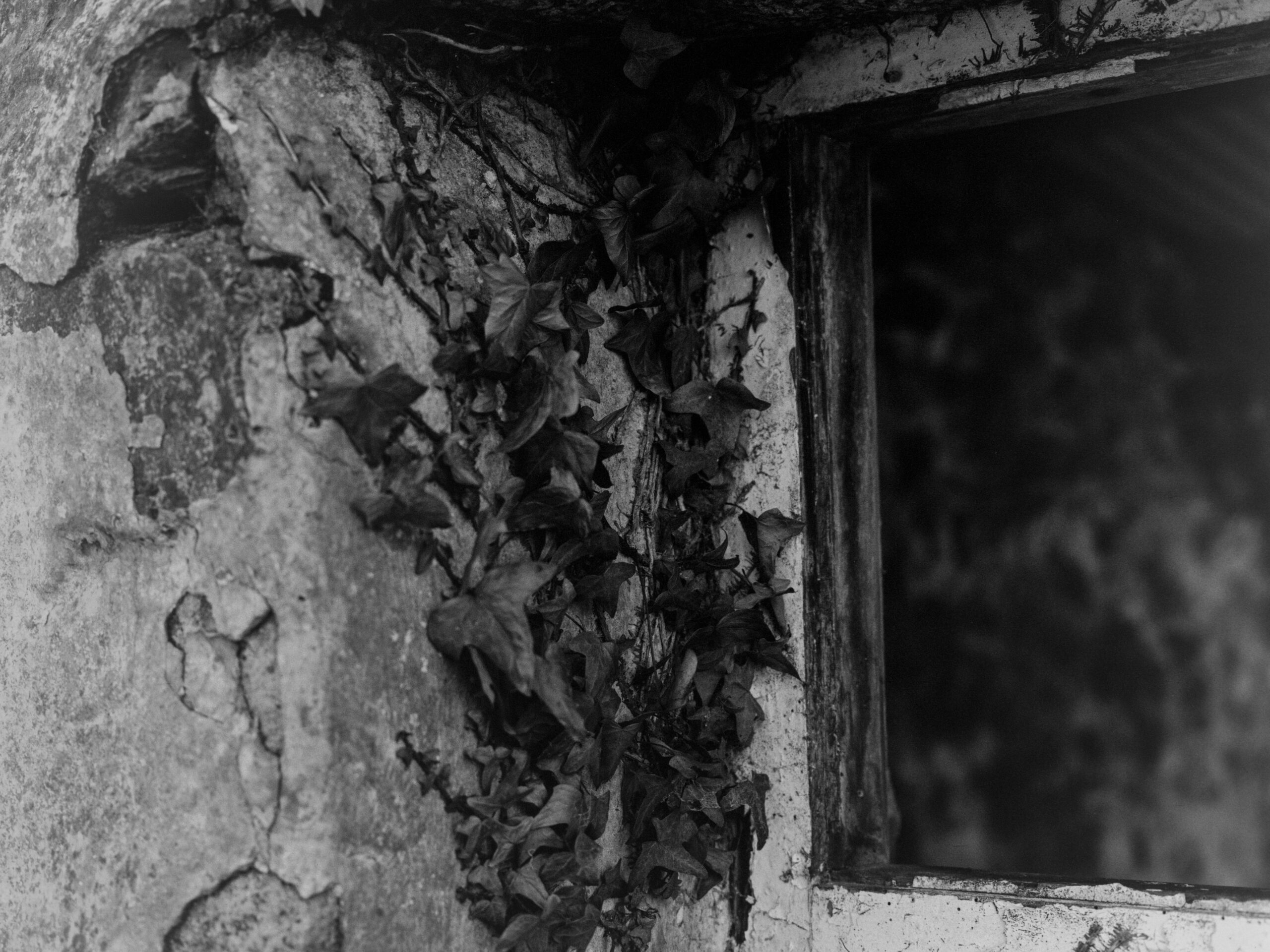 luckyshd400 19 luckyshd400 19