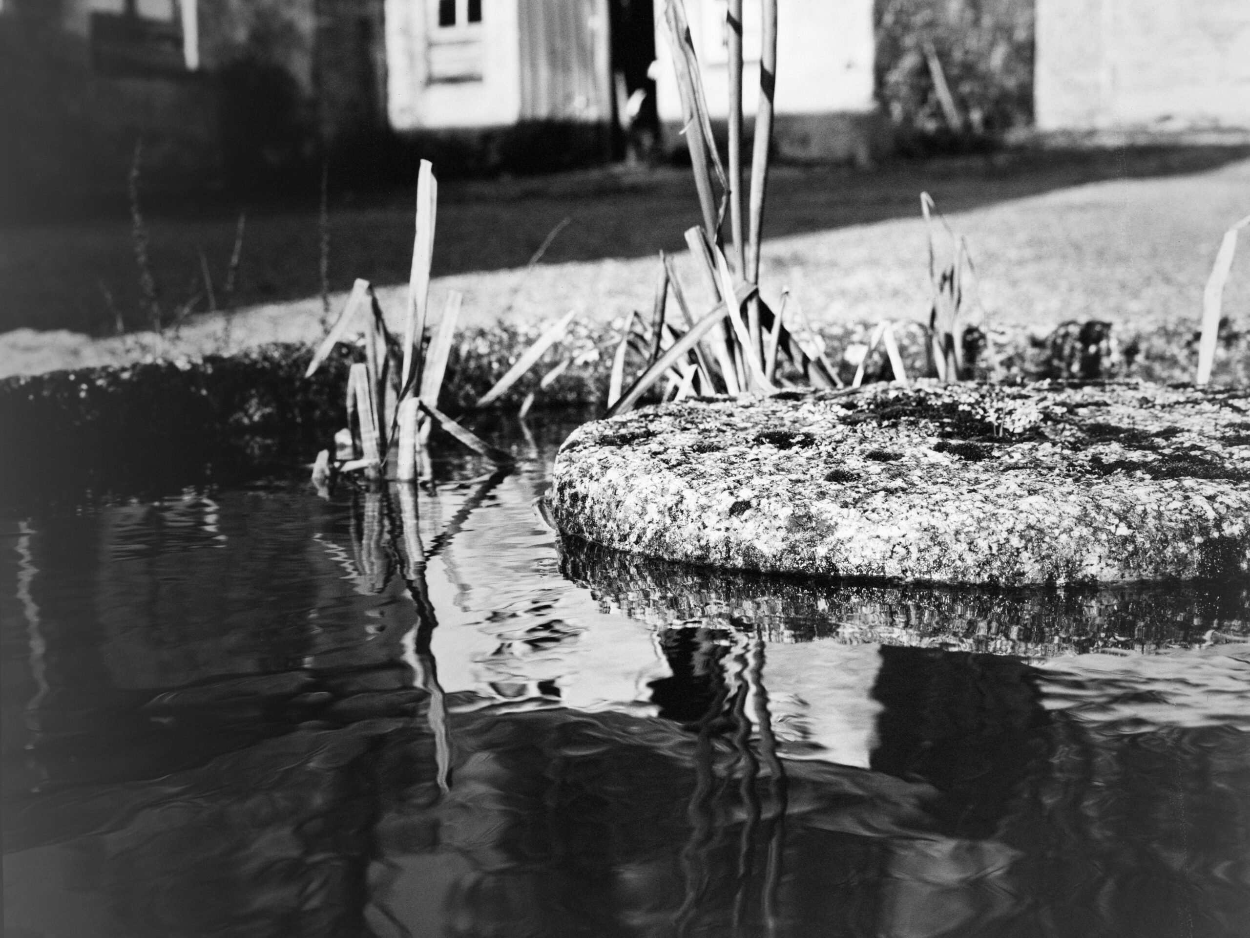 luckyshd400 24 luckyshd400 24