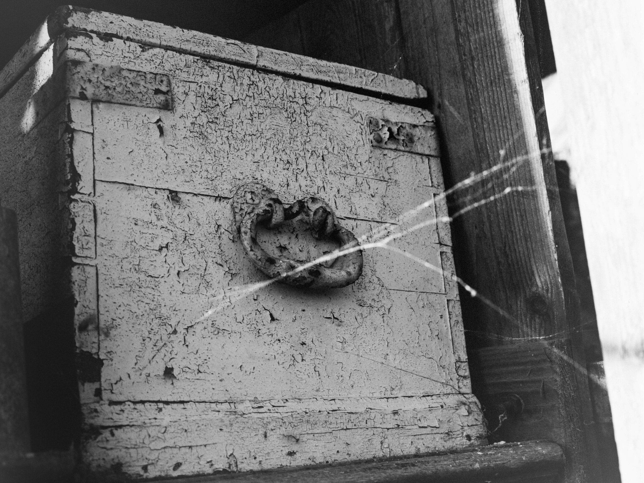 luckyshd400 25 luckyshd400 25