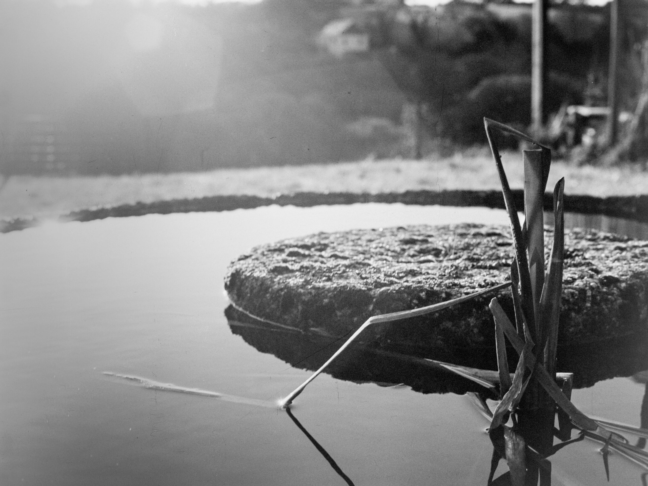 luckyshd400 34 luckyshd400 34