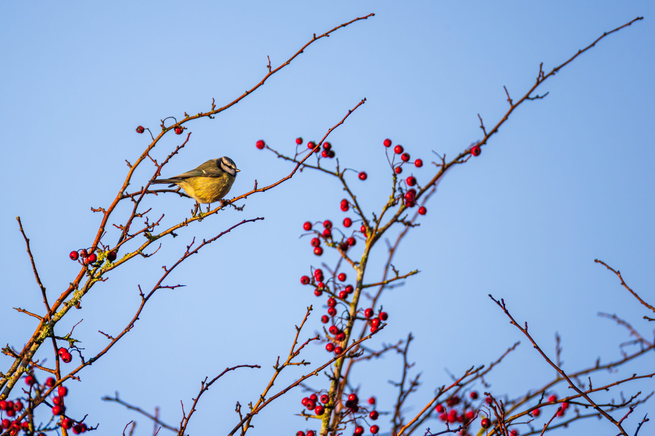 20251227 674a2275 edit