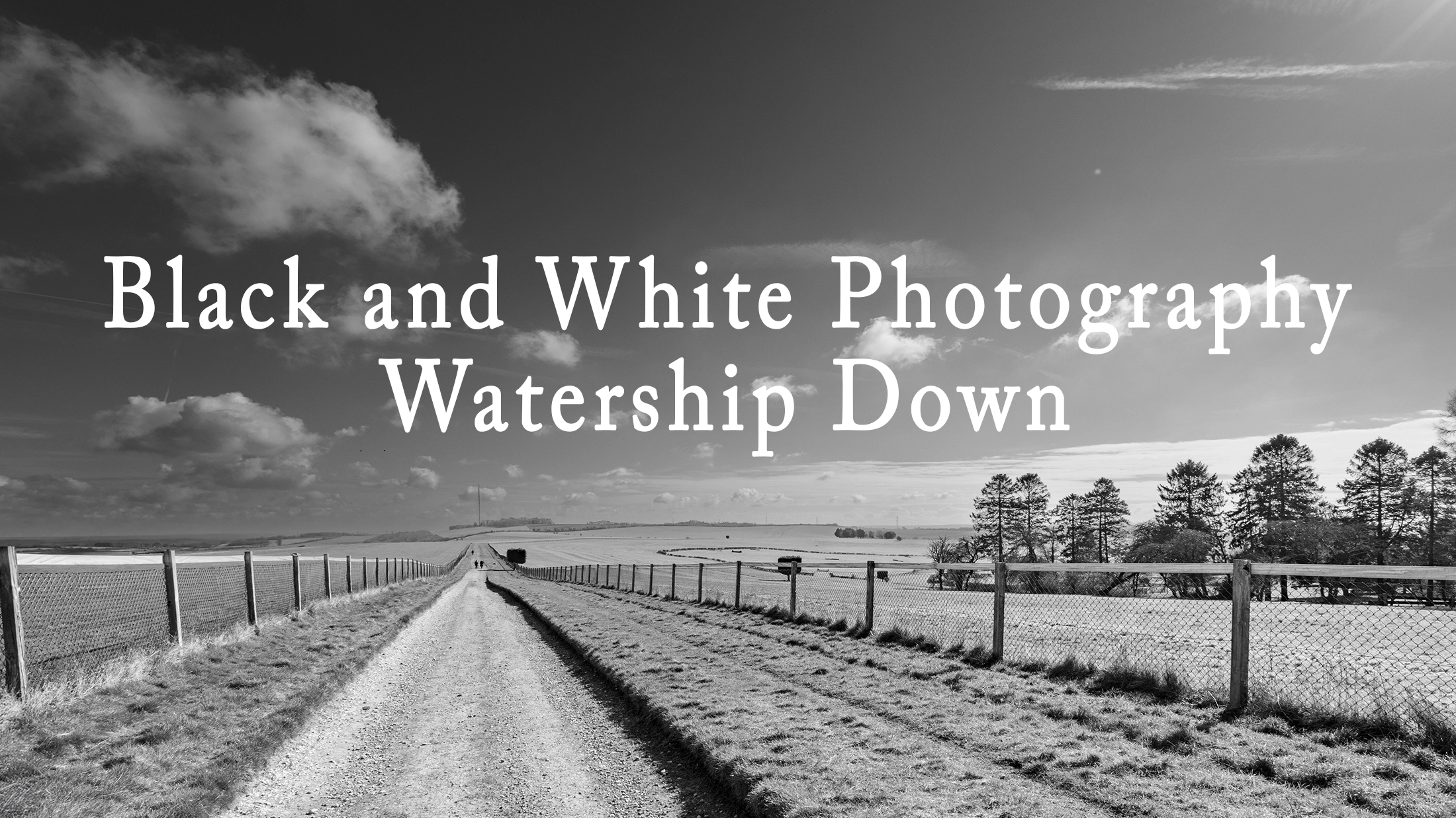 black and white photography of watership down