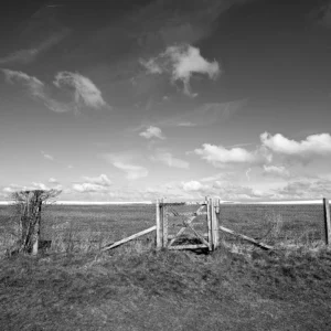 chalk ground iii product image