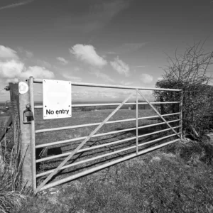 chalk ground vi product image