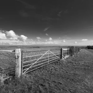 chalk ground vii product image